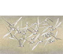 Tern Group, Mauve Sky